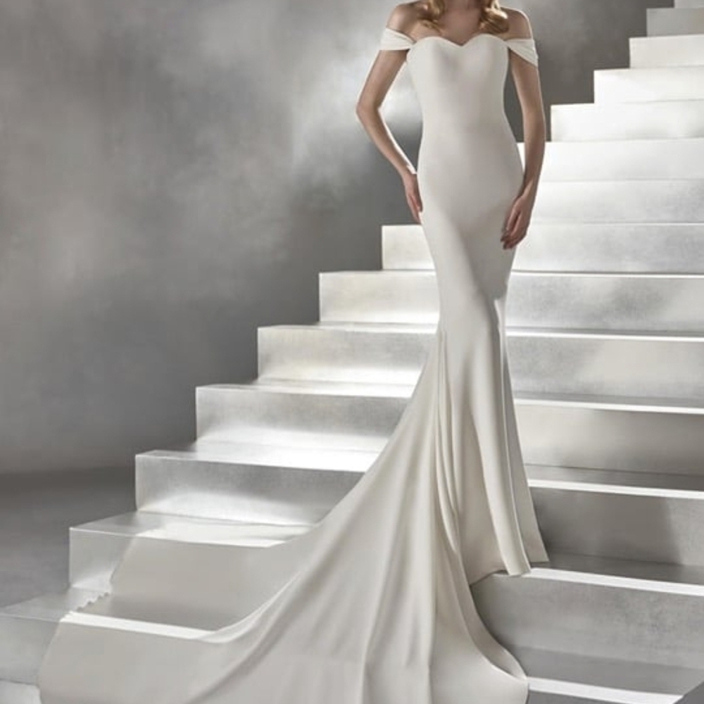 Pronovias Raciela Gown Size 10 Nwt